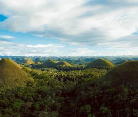 Chocolate Hills Complex