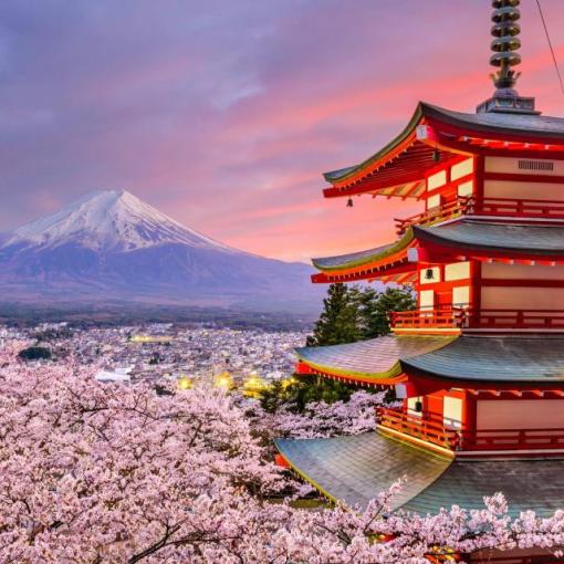 Japan: Visit Tokyo's Modernity, Kyoto's Temples, and Blossoms