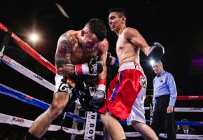 Choosing the Right Boxing Gear A Comprehensive Guide