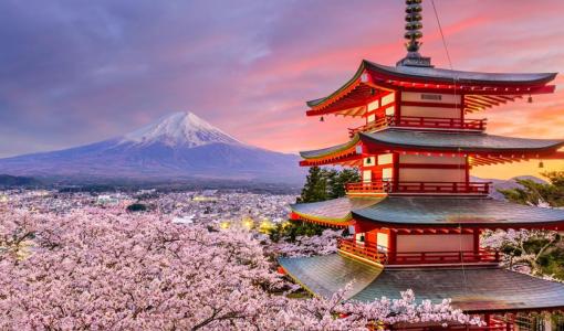 Japan: Visit Tokyo's Modernity, Kyoto's Temples, and Blossoms