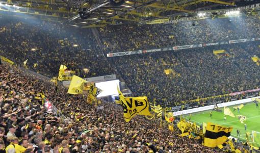 Passionate Soccer Fans Cheering Loudly in the Stadium